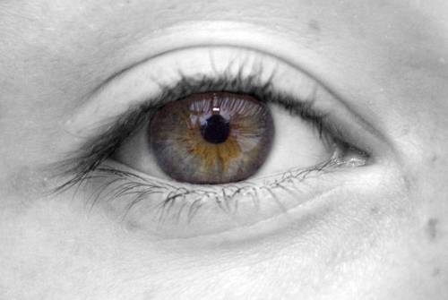 eye2