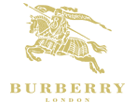 Burberry color