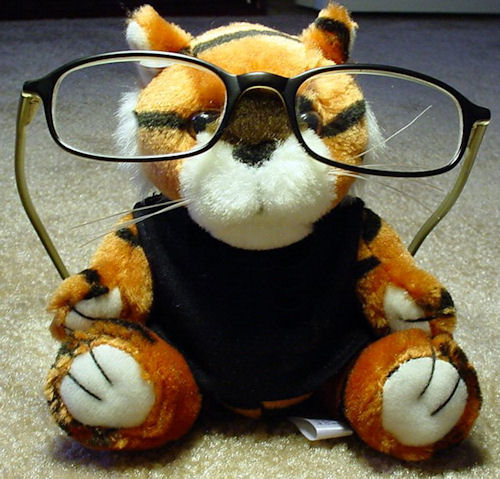 Eye Exam Christiansburg